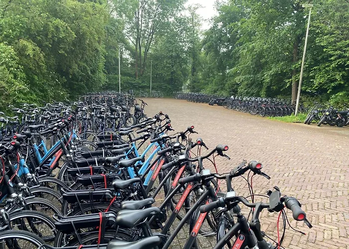 Bosfluiter Dom wakacyjny