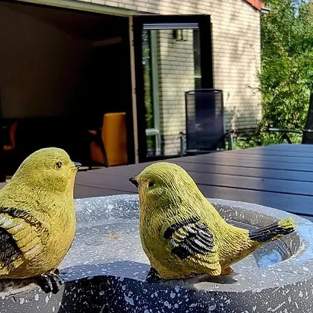 Bosfluiter Vakantiehuis