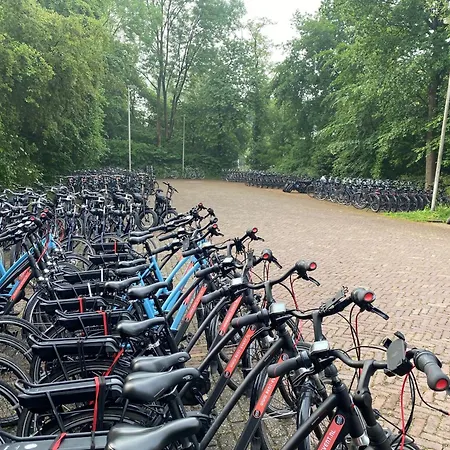 Bosfluiter Дом отдыха